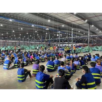 Tuyển Dụng Quận 12 - Hồ Chí Minh