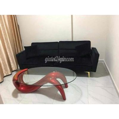 Cho Thuê Căn Hộ Thủ Dầu Một - Bình Dương