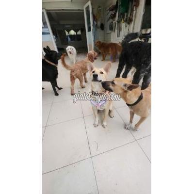 Tuyển Dụng Thủ Đức - Hồ Chí Minh