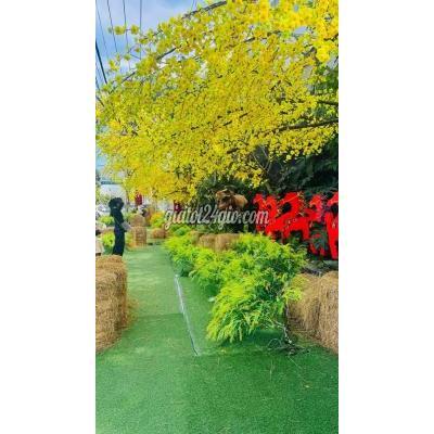 Tuyển Dụng Cẩm Lệ - Đà Nẵng