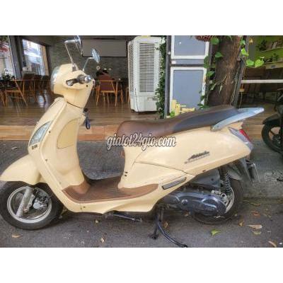 Xe Tay Ga Cũ Tân Phú - Hồ Chí Minh