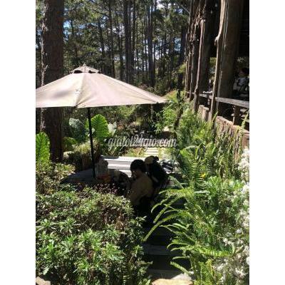 Tuyển Dụng Đà Lạt - Lâm Đồng