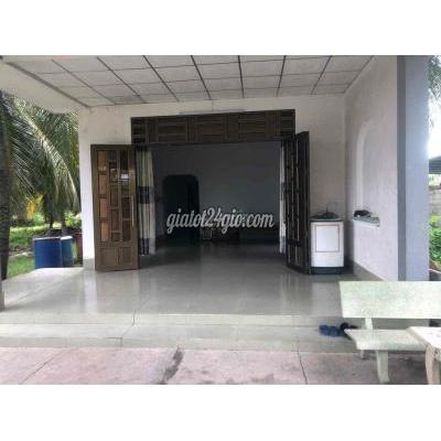 Nhà Cho Thuê Châu Thành - Tiền Giang