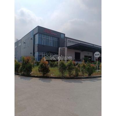 Tuyển Dụng Bình Chánh - Hồ Chí Minh