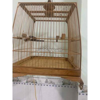 Đồ Dùng Cho Thú Cưng Biên Hòa - Đồng Nai