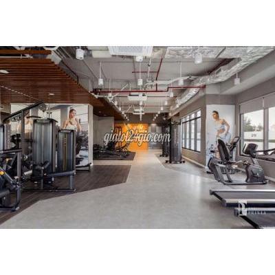 Cho Thuê Căn Hộ Bình Tân - Hồ Chí Minh