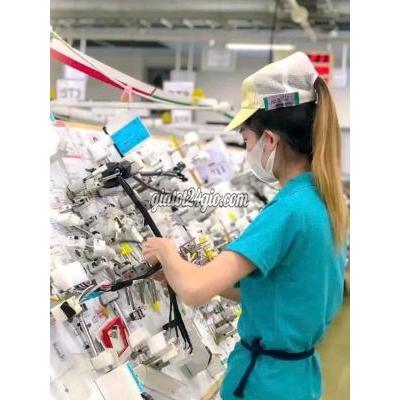 Tuyển Dụng Quận 7 - Hồ Chí Minh