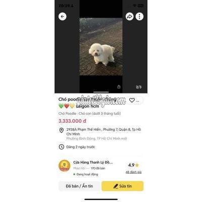 Vật Nuôi Thú Cưng Quận 8 - Hồ Chí Minh