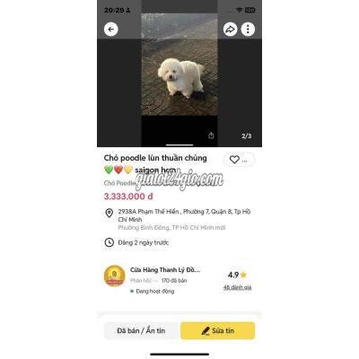 Vật Nuôi Thú Cưng Quận 8 - Hồ Chí Minh