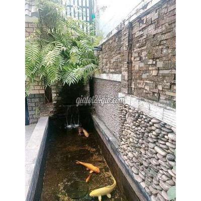 Bán Nhà Gò Vấp - Hồ Chí Minh