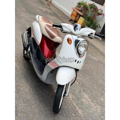 Xe Tay Ga Cũ Tân Phú - Hồ Chí Minh