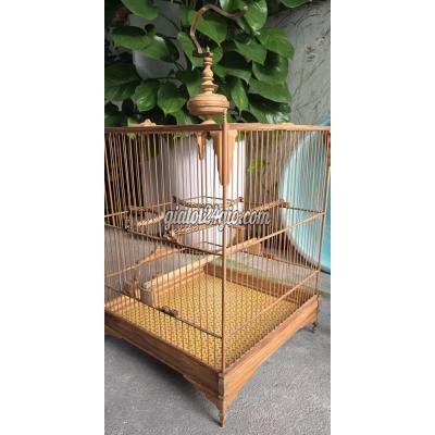 Vật Nuôi Thú Cưng Cũ Cẩm Lệ - Đà Nẵng