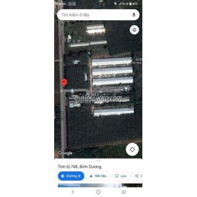 Đất Thổ Cư Bàu Bàng - Bình Dương