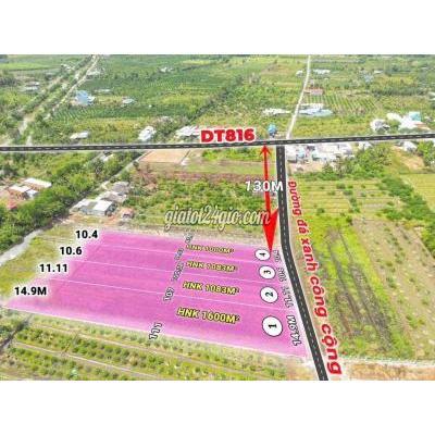 Đất Nông Nghiệp Bến Lức - Long An