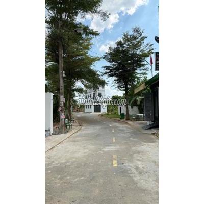 Đất Thổ Cư Thủ Đức - Hồ Chí Minh