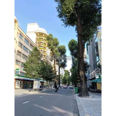 Bán Nhà Bình Thạnh - Hồ Chí Minh