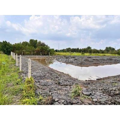 Đất Nông Nghiệp Hóc Môn - Hồ Chí Minh