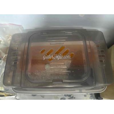 Đồ Dùng Cho Thú Cưng Quận 10 - Hồ Chí Minh