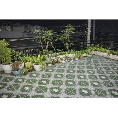 Nhà Cho Thuê Cần Giuộc - Long An