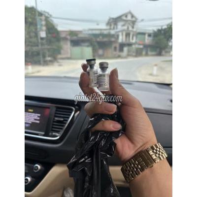 Vật Nuôi Thú Cưng Bình Chánh - Hồ Chí Minh