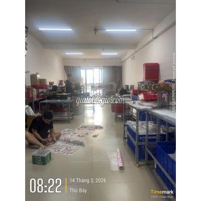 Tuyển Dụng Gò Vấp - Hồ Chí Minh