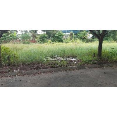 Đất Thổ Cư Bến Cát - Bình Dương