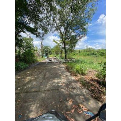 Đất Thổ Cư Bến Cát - Bình Dương