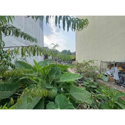 Bán Nhà Quận 12 - Hồ Chí Minh