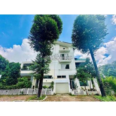 Phòng Trọ Quận 12 - Hồ Chí Minh