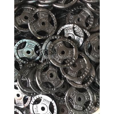 Đồ Dùng Thể Thao Hà Đông Hà Nội Sản Xuất Tạ Gang Tạ Tập Gym Tạ Tập Thể Hình