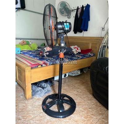 Quạt Đứng Tân Phú - Hồ Chí Minh