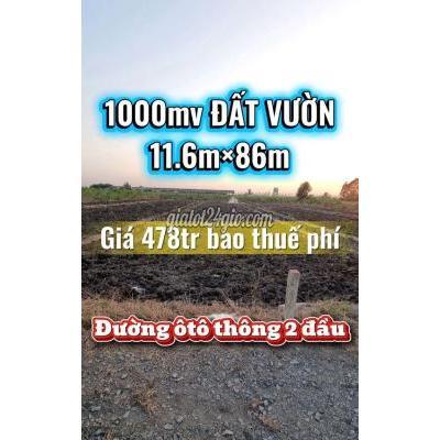 Đất Nông Nghiệp Thủ Thừa - Long An