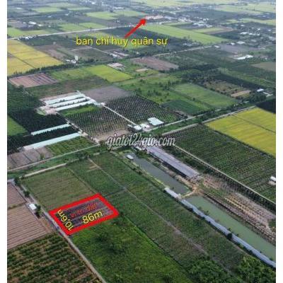 Đất Nông Nghiệp Thủ Thừa - Long An
