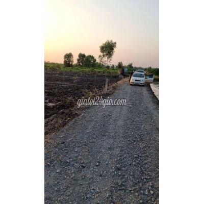 Đất Nông Nghiệp Thủ Thừa - Long An