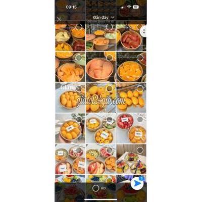 Tuyển Dụng Gò Vấp - Hồ Chí Minh