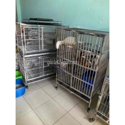 Mèo ( Vật Nuôi ) Quận 8 - Hồ Chí Minh