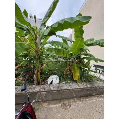 Đất Thổ Cư Thủ Đức - Hồ Chí Minh