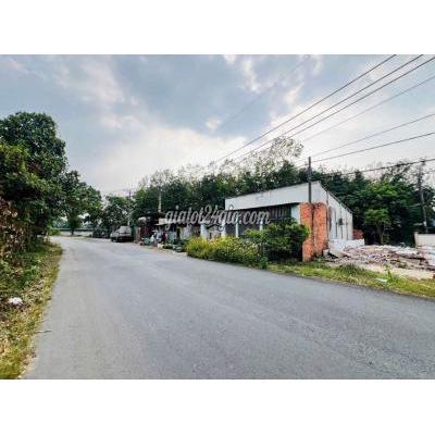 Đất Thổ Cư Củ Chi - Hồ Chí Minh