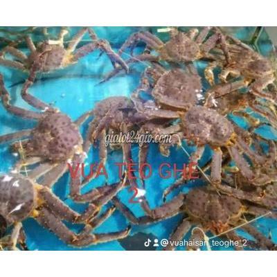 Tuyển Dụng Quận 7 - Hồ Chí Minh
