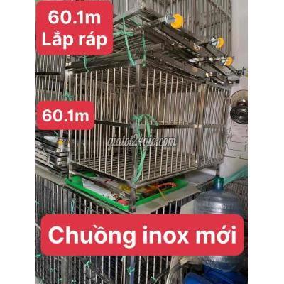 Đồ Dùng Cho Thú Cưng Quận 8 - Hồ Chí Minh