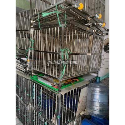 Đồ Dùng Cho Thú Cưng Quận 8 - Hồ Chí Minh