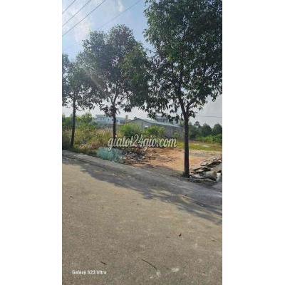 Đất Thổ Cư Bến Cát - Bình Dương