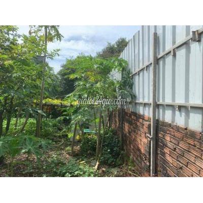 Đất Thổ Cư Thủ Đức - Hồ Chí Minh