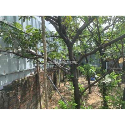 Đất Thổ Cư Thủ Đức - Hồ Chí Minh