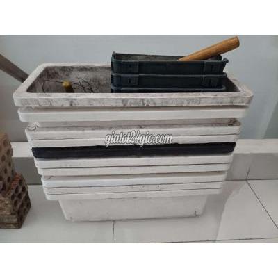 Cây Cảnh Cũ Hải Châu - Đà Nẵng
