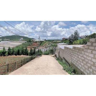 Đất Thổ Cư Đà Lạt - Lâm Đồng