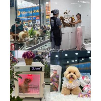 Tuyển Dụng Thuận An - Bình Dương