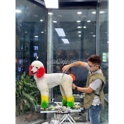 Tuyển Dụng Thuận An - Bình Dương