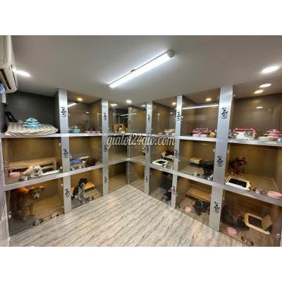 Tuyển Dụng Thuận An - Bình Dương
