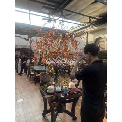 Tuyển Dụng Quận 10 - Hồ Chí Minh